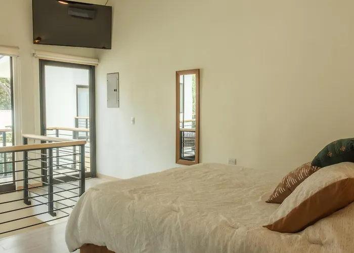 Howler Monkey Loft * Coco