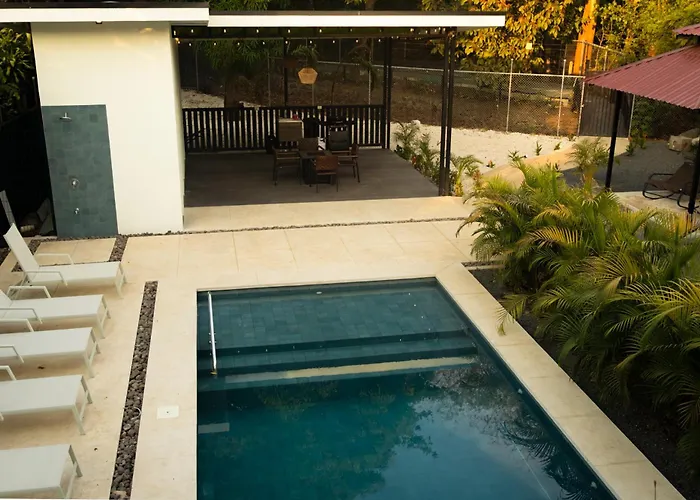 Howler Monkey Loft Coco