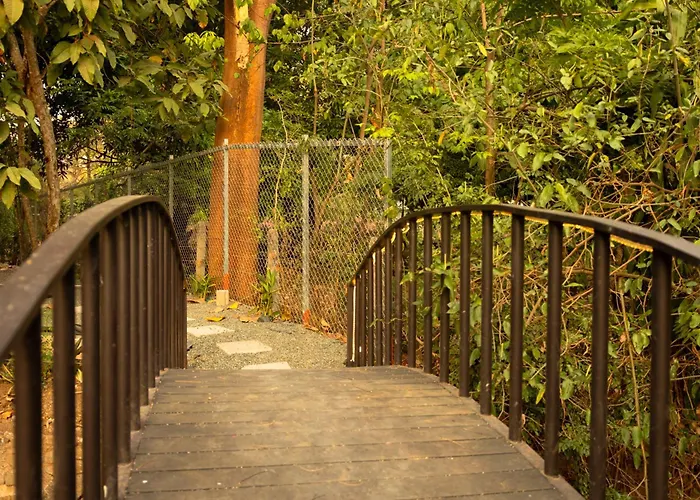 Howler Monkey Loft * Coco