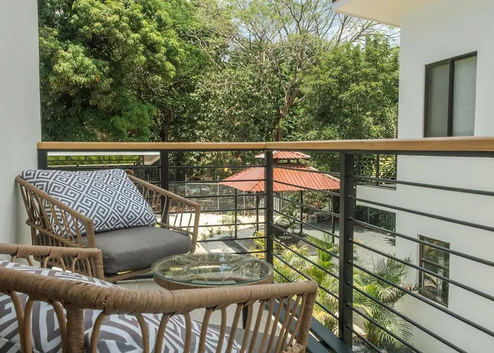 Howler Monkey Loft Coco